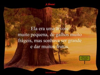 Ela era uma árvore
muito pequena, de galhos muito
frágeis, mas sonhava ser grande
      e dar muitos frutos.
 