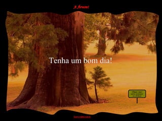 Tenha um bom dia!
 