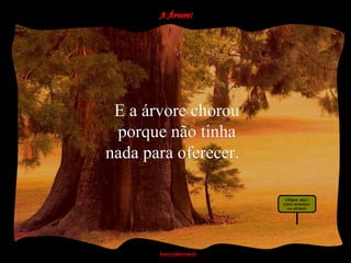 E a árvore chorou
 porque não tinha
nada para oferecer.
 
