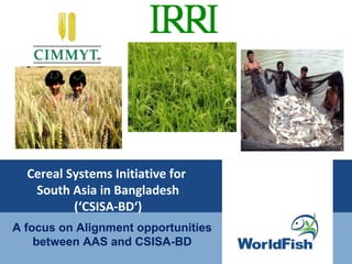 Cereal Systems Initiative for
South Asia in Bangladesh
(‘CSISA-BD‘)
A focus on Alignment opportunities
between AAS and CSISA-BD
 