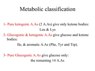 Amino Acids Metabolism for medical students 2023.pdf
