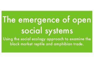 The emergence of open
social systems
Using the social ecology approach to examine the
black market reptile and amphibian trade.

 
