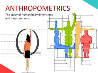 ANTHROPOMETRICS
The study of human body dimensions
and measurements.
 