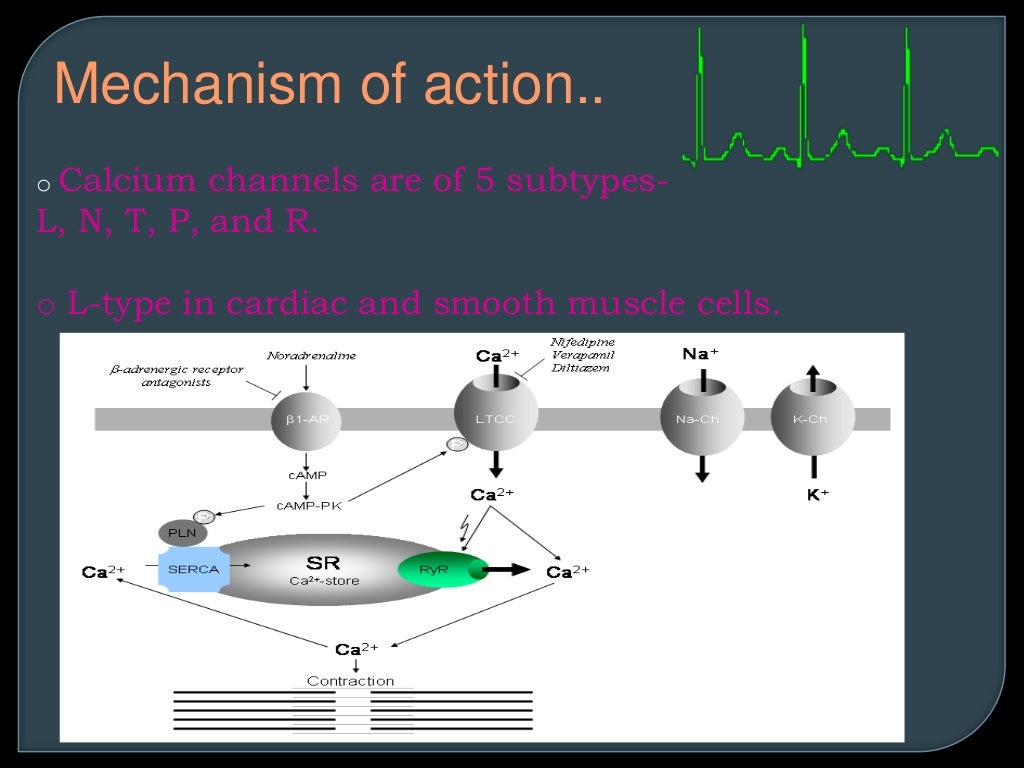 calcium channel blockers