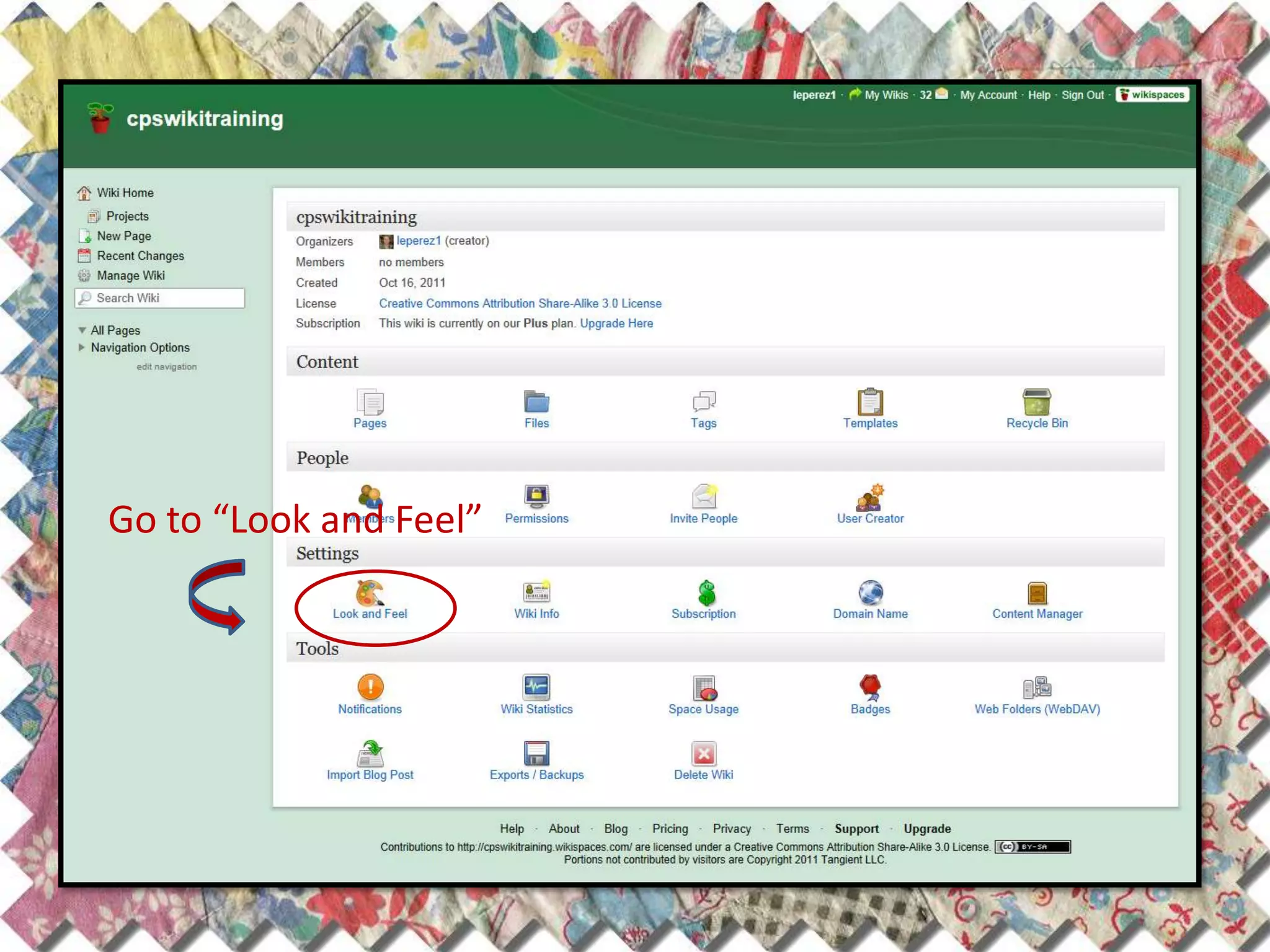 Go to “Look and Feel”
 