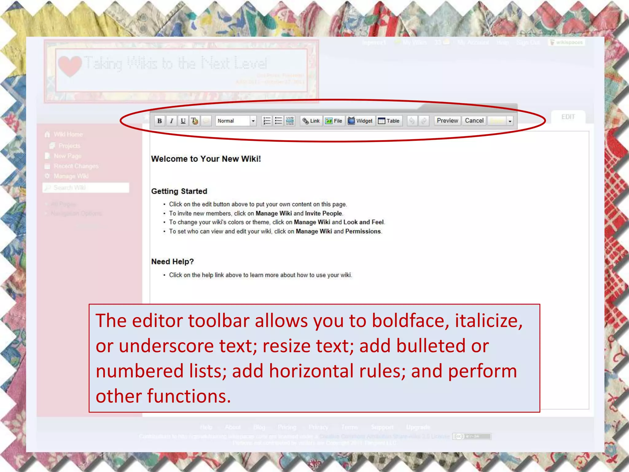The editor toolbar allows you to boldface, italicize,
or underscore text; resize text; add bulleted or
numbered lists; add horizontal rules; and perform
other functions.
 