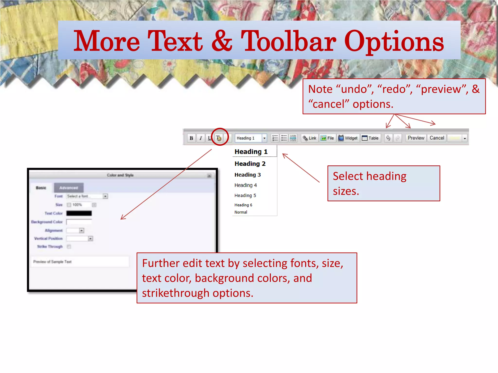 More Text & Toolbar Options
                                       Note “undo”, “redo”, “preview”, &
                                       “cancel” options.




                                            Select heading
                                            sizes.




    Further edit text by selecting fonts, size,
    text color, background colors, and
    strikethrough options.
 