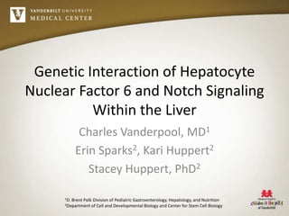 Genetic Interaction of Hepatocyte
Nuclear Factor 6 and Notch Signaling
Within the Liver
Charles Vanderpool, MD1
Erin Sparks2, Kari Huppert2
Stacey Huppert, PhD2
1D. Brent Polk Division of Pediatric Gastroenterology, Hepatology, and Nutrition
2Department of Cell and Developmental Biology and Center for Stem Cell Biology
 