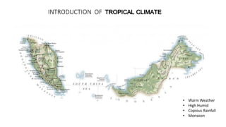 INTRODUCTION OF
• Warm Weather
• High Humid
• Copious Rainfall
• Monsoon
 