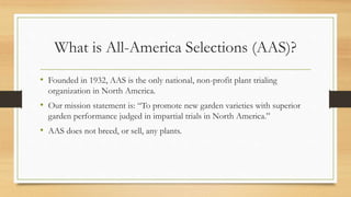 What is All-America Selections (AAS)?
• Founded in 1932, AAS is the only national, non-profit plant trialing
organization ...