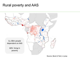 AAS – Presentation for Discussion with Donors and Partners – June 2013