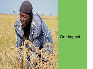 AAS – Presentation for Discussion with Donors and Partners – June 2013