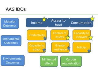 AAS – Presentation for Discussion with Donors and Partners – June 2013