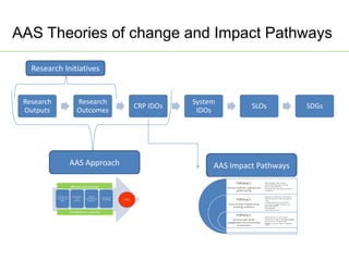 AAS – Presentation for Discussion with Donors and Partners – June 2013