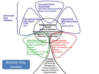 AAS – Presentation for Discussion with Donors and Partners – June 2013