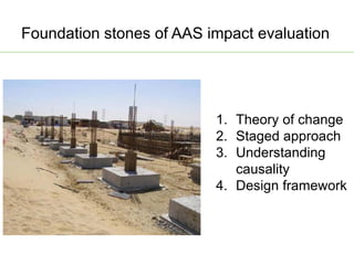 AAS – Presentation for Discussion with Donors and Partners – June 2013