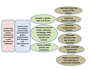 AAS – Presentation for Discussion with Donors and Partners – June 2013