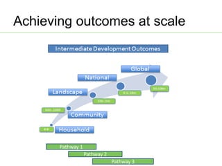 AAS – Presentation for Discussion with Donors and Partners – June 2013