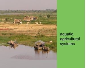 AAS – Presentation for Discussion with Donors and Partners – June 2013