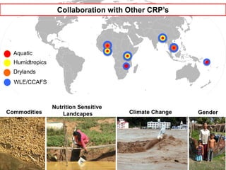 AAS – Presentation for Discussion with Donors and Partners – June 2013