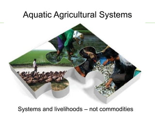 AAS – Presentation for Discussion with Donors and Partners – June 2013