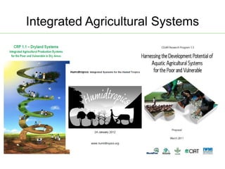 AAS – Presentation for Discussion with Donors and Partners – June 2013