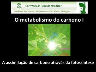 Faculdade de Ciências – Departamento de Ciências Biológicas



      O metabolismo do carbono I




A assimilação de carbono através da fotossíntese
 