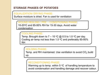 EQUALIZATION/ DRYING PHASE:
Surface moisture is dried. Fan is used for ventilation
WOUND HEALING / PRE – CONDITIONING PHASE:
10-20oC and 85-95% RH for 15-30 days. Avoid water
condensation
COOLING PHASE:
Temp. Brought down to 7 – 10 oC @ 0.5 to 1.0 oC per day.
Cooling air temp not less than 1.5 oC and preferably 85-95%
RH
HOLDING PHASE:
Temp. and RH maintained. Use ventilation to avoid CO2 build
up.
RECONDITIONING PHASE:
Warming up to temp. within 5 oC of handling temperature to
avoid condensation and handling damage and recover colour.
STORAGE PHASES OF POTATOES
 