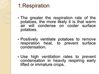 1.Respiration
 The greater the respiration rate of the
potatoes, the more likely it is that warm
air will condense on cooler surface
potatoes.
 Positively ventilate potatoes to remove
respiration heat, to prevent surface
condensation.
 Use high ventilation rates to prevent
condensation in heavily respiring early
lifted or immature crops.
 