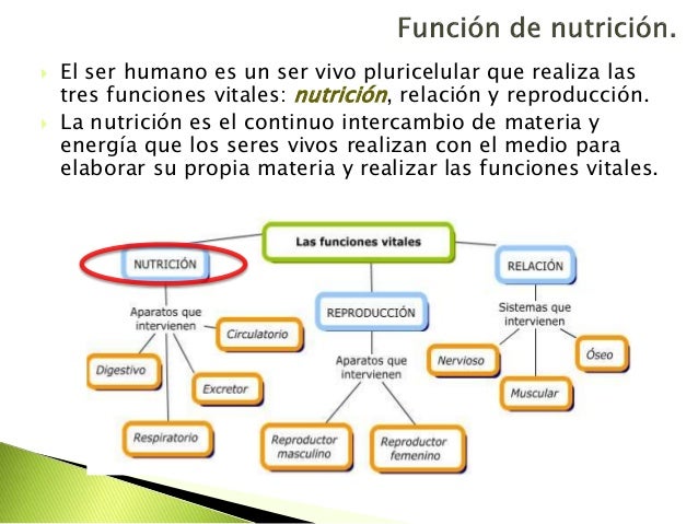 AA T3. Obtención de materia y energía.