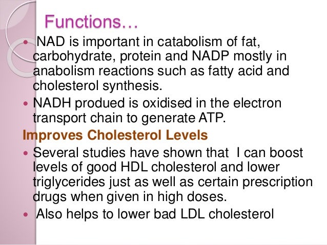 Niacin lower cholesterol women