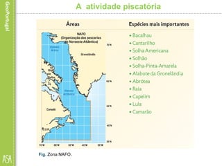 A atividade piscatória
Fig. Zona NAFO.
 