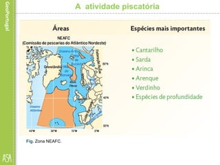 A atividade piscatória
Fig. Zona NEAFC.
 