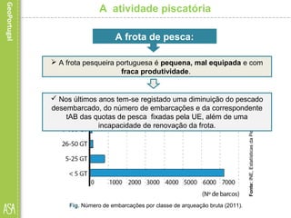 A atividade piscatória
 A frota pesqueira portuguesa é pequena, mal equipada e com
fraca produtividade.
A frota de pesca:
Fonte:INE,EstatísticasdaPesca(2012)
Fig. Número de embarcações por classe de arqueação bruta (2011).
 Nos últimos anos tem-se registado uma diminuição do pescado
desembarcado, do número de embarcações e da correspondente
tAB das quotas de pesca fixadas pela UE, além de uma
incapacidade de renovação da frota.
 