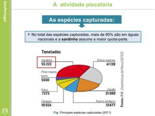 A atividade piscatória
 No total das espécies capturadas, mais de 80% são em águas
nacionais e a sardinha assume a maior quota-parte.
As espécies capturadas:
Fig. Principais espécies capturadas (2011)
 