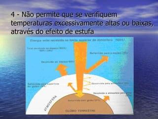 4 - Não permite que se verifiquem temperaturas excessivamente altas ou baixas, através do efeito de estufa 