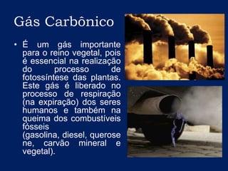Gás CarbônicoÉ um gás importante para o reino vegetal, pois é essencial na realização do processo de fotossíntese das plantas. Este gás é liberado no processo de respiração (na expiração) dos seres humanos e também na queima dos combustíveis fósseis (gasolina, diesel, querosene, carvão mineral e vegetal).