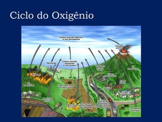 Ciclo do Oxigênio