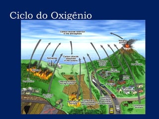 Ciclo do Oxigênio
 