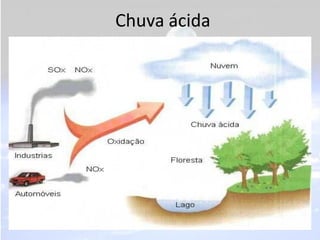 Chuva ácida
• Quando a água evapora e sobe para a atmosfera,
  entra em contato com gases liberados pelas
  indústrias que modificam a composição da água,
  chamada de chuva ácida.
• Agride o meio ambiente, destruindo florestas, os
  seres dos rios e lagos e até monumentos
  históricos.
 