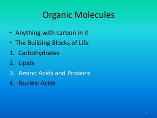 Organic Molecules
• Anything with carbon in it
• The Building Blocks of Life
1. Carbohydrates
2. Lipids
3. Amino Acids and Proteins
4. Nucleic Acids

15

 