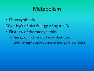 Metabolism
• Photosynthesis
CO2 + H2O + Solar Energy = Sugar + O2
• First law of thermodynamics
– Energy cannot be created or destroyed
– Solar energy becomes stored energy in the plant

23

 
