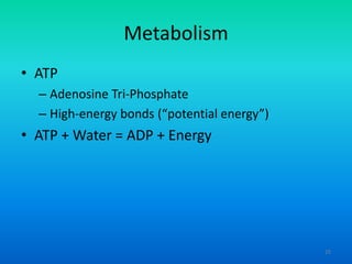 Metabolism
• ATP
– Adenosine Tri-Phosphate
– High-energy bonds (“potential energy”)

• ATP + Water = ADP + Energy

25

 