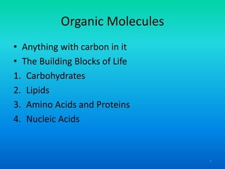 Organic Molecules
• Anything with carbon in it
• The Building Blocks of Life
1. Carbohydrates
2. Lipids
3. Amino Acids and Proteins
4. Nucleic Acids

3

 