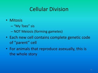 Cellular Division
• Mitosis
– “My Toes” sis
– NOT Meiosis (forming gametes)

• Each new cell contains complete genetic code
of “parent” cell
• For animals that reproduce asexually, this is
the whole story

32

 