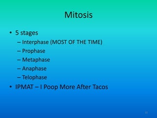 Mitosis
• 5 stages
– Interphase (MOST OF THE TIME)
– Prophase
– Metaphase
– Anaphase
– Telophase

• IPMAT – I Poop More After Tacos

33

 