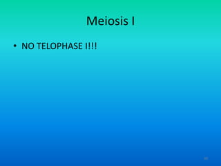 Meiosis I
• NO TELOPHASE I!!!

50

 