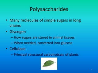 Polysaccharides
• Many molecules of simple sugars in long
chains
• Glycogen
– How sugars are stored in animal tissues
– When needed, converted into glucose

• Cellulose
– Principal structural carbohydrate of plants

9

 