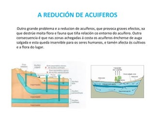 A REDUCIÓN DE ACUIFEROS
Outro grande problema e a reducion de acuíferos, que provoca graves efectos, xa
que destrúe moita flora e fauna que tiña relación co entorno do acuífero. Outra
consecuencia é que nas zonas achegadas á costa os acuíferos énchense de auga
salgada e esta queda inservible para os seres humanos, e tamén afecta ós cultivos
e a flora do lugar.
 