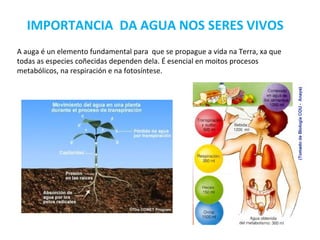 IMPORTANCIA DA AGUA NOS SERES VIVOS
A auga é un elemento fundamental para que se propague a vida na Terra, xa que
todas as especies coñecidas dependen dela. É esencial en moitos procesos
metabólicos, na respiración e na fotosíntese.
 